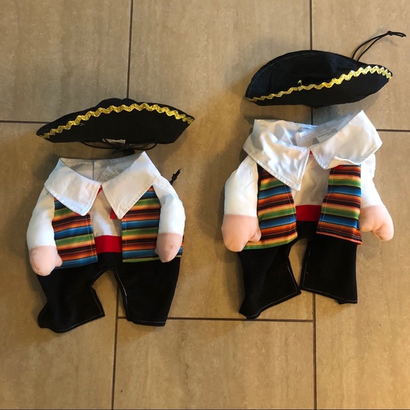 mariachi costume for dogs